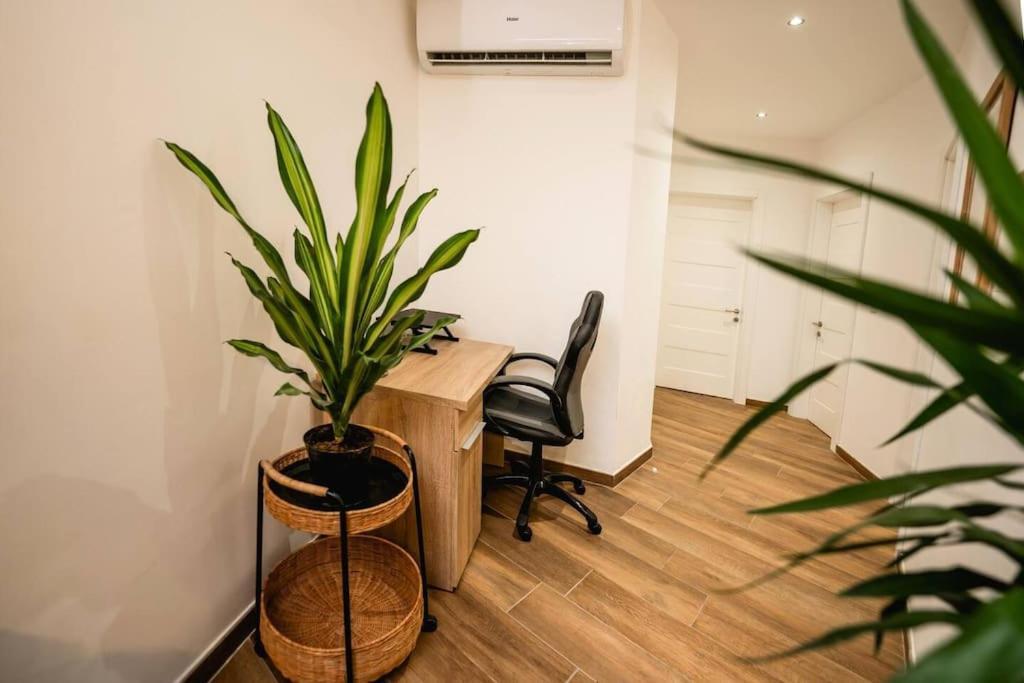 Luxurious & Stylish Penthouse With Private Pool Lägenhet Msida Exteriör bild